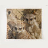 Tenture Meerkat 039 (Devant (Horizontal))