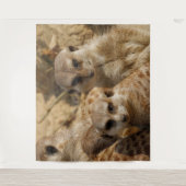 Tenture Meerkat 039 (Devant)