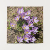 Tenture Mignons crocus de printemps (Devant (Horizontal))