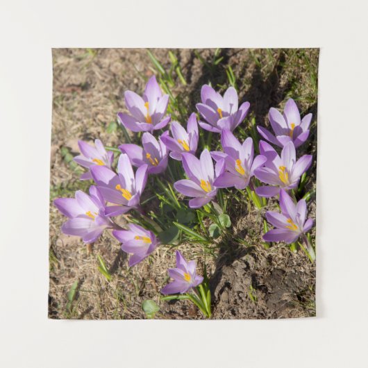 Tenture Mignons crocus de printemps (Devant)
