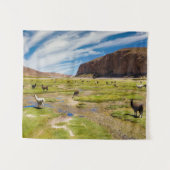 Tenture Montagnes | Andes boliviennes (Devant (Horizontal))