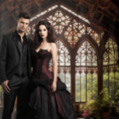 Tenture Moody Gothic Sunlit Conservatoire Salle XLarge