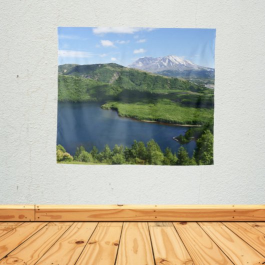 Tenture Mount St Helens Coldwater Lake Scenic Landscape