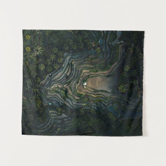 Tenture Mousse verte sur roche noire (Devant (Horizontal))