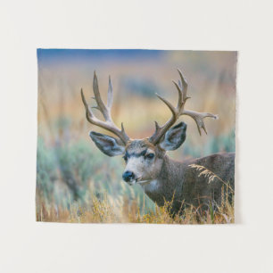 Tenture Mule Deer Buck   Parc national du Grand Teton Wyom