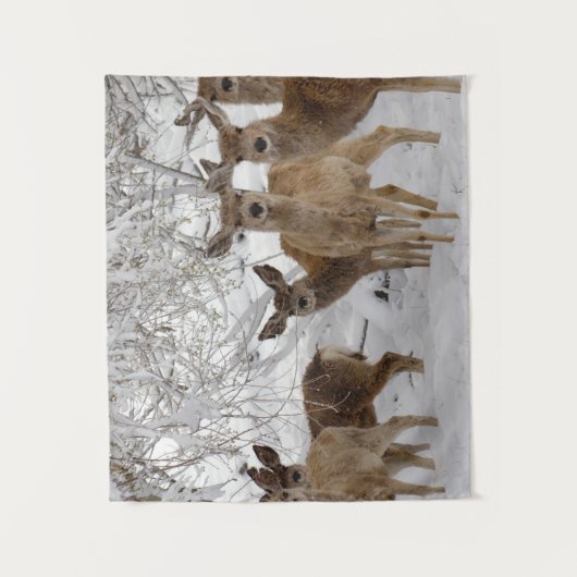 Tenture Mule Deer Wyoming (Devant)