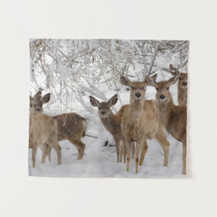 Tenture Mule Deer Wyoming