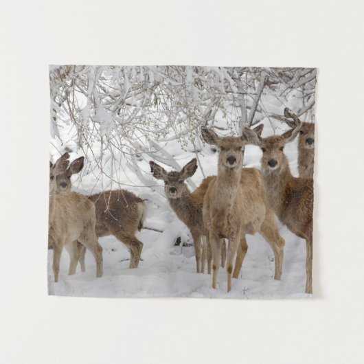 Tenture Mule Deer Wyoming (Devant (Horizontal))