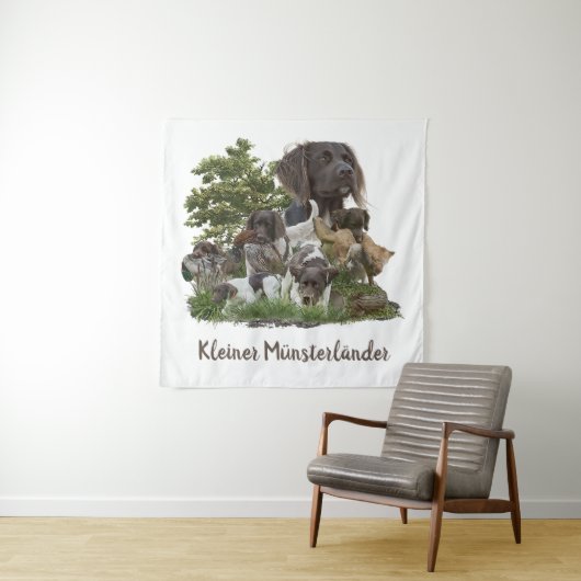 Tenture Munsterlander, polyvalent chasse-pointage-retrie (En situation)