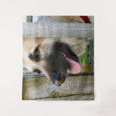 Tenture Murale encadré (Devant)