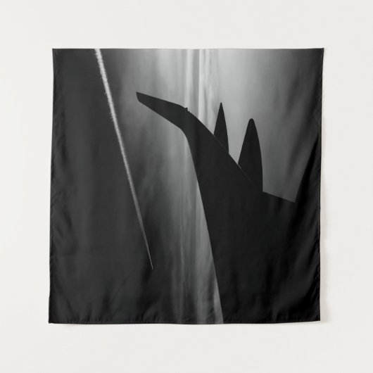 Tenture Murale Jets en noir et blanc (Devant)