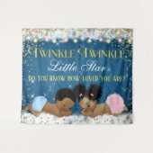 Tenture Murale Twinkle Twinkle Little Star Baby shower Backdrops (Devant (Horizontal))