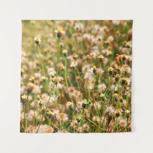 Tenture Nature background with grass flowerbackground, bea (Devant)