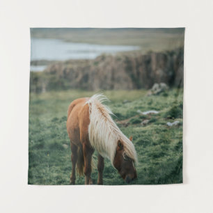 TENTURE NICE HORSE