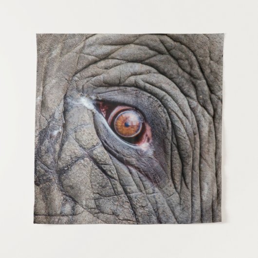 Tenture Oeil d'éléphant animal proche (Devant)