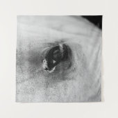 TENTURE OEIL DU CHEVAL BLANC (Devant (Horizontal))