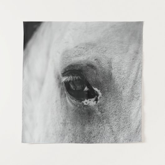 TENTURE OEIL DU CHEVAL BLANC (Devant)