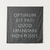 Tenture Optimum est kinsella quod emendare non possible (Devant)