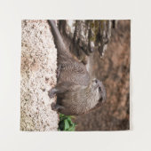 Tenture Otter Sur Le Rocher (Devant (Horizontal))
