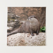 Tenture Otter Sur Le Rocher (Devant)