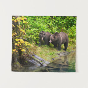 Tenture Ours brun et ourson Hyder, Alaska