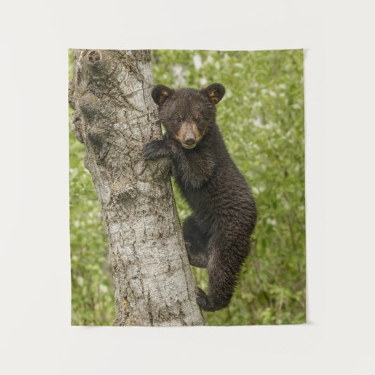 Tenture Ourson noir dans un arbre (Devant)