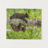 Tenture Oursons de l'ours noir grimpant à l'arbre (Devant (Horizontal))