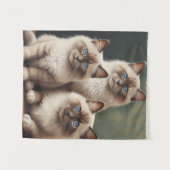 Tenture Paire adorable de Ragdoll Kittens Chat doux (Devant (Horizontal))
