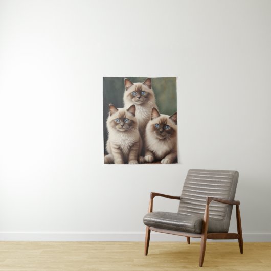 Tenture Paire adorable de Ragdoll Kittens Chat doux (En situation)