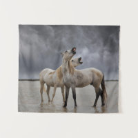 Paire d'étalons de chevaux de Camargue, sud de la