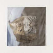 Tenture Pallas Chat dans la neige (Devant (Horizontal))