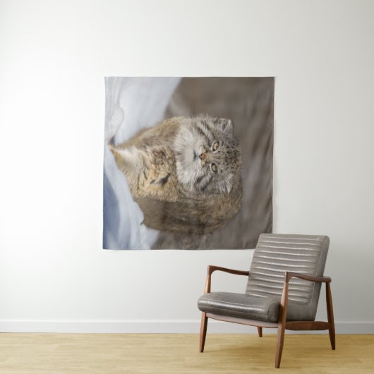 Tenture Pallas Chat dans la neige (En situation (horizontale))