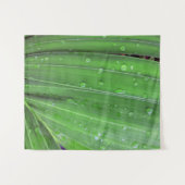 Tenture Palmier de Noël et gouttes de pluie (Devant (Horizontal))