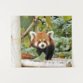 Tenture Panda rouge (Devant (Horizontal))