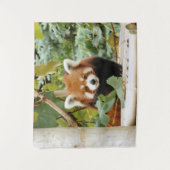 Tenture Panda rouge (Devant)