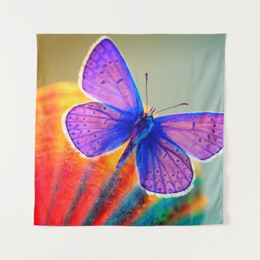 Tenture Papillon coloré (Devant)