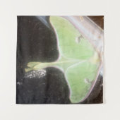 Tenture Papillon lune en gros plan (Devant (Horizontal))