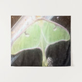 Tenture Papillon lune en gros plan (Devant (Horizontal))