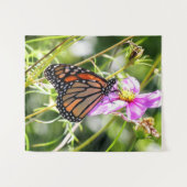 Tenture Papillon monarque (Devant (Horizontal))