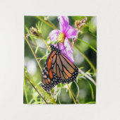 Tenture Papillon monarque (Devant)