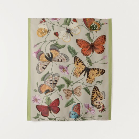 Tenture Papillon Moth Nature Collection Dessin (Devant)