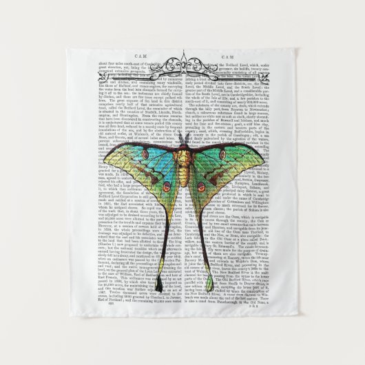 Tenture Papillon vibrant (Devant)