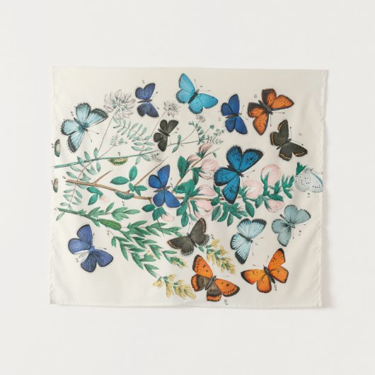 Tenture Papillons, illustration vintage (Devant (Horizontal))
