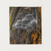 Tenture Parc national de Blackwater Falls (Devant)