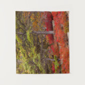 Tenture Parc national de l'Acadie, Maine (Devant)