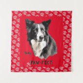 Tenture Paw-fect (Devant)