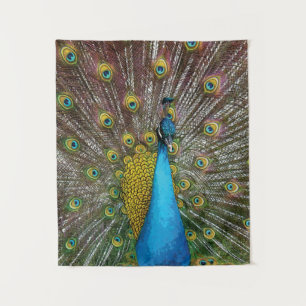 Tenture Peacock Art in Jewel Tone Coloris