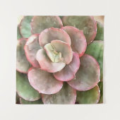 Tenture Peinture acrylique Succulente Echeveria Cactus (Devant)