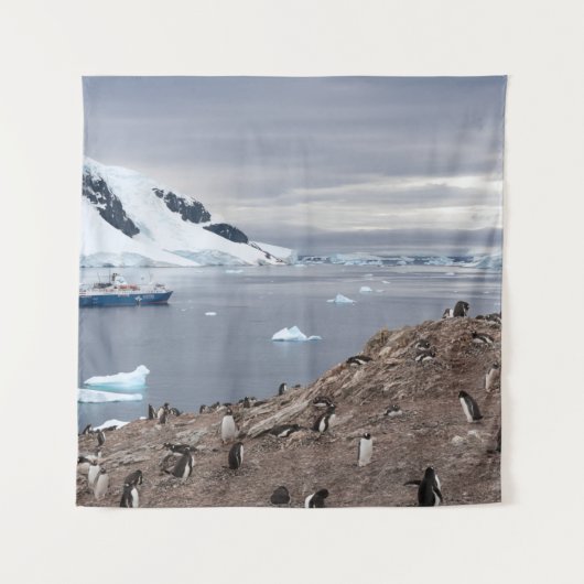 TENTURE PENGUINS BESEIN (Devant)