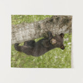 Tenture Petit Ours noir dans l'arbre (Devant (Horizontal))